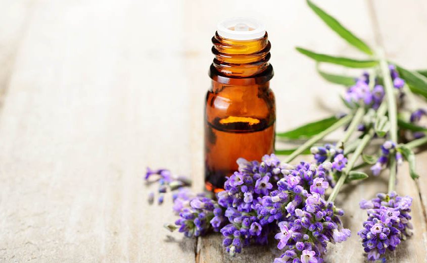 HOW TO ILLNESS PROOF YOUR HOME: 9 POWERFUL WAYS TO STAY HEALTHY