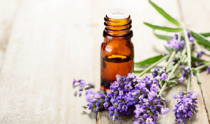 how to illness proof your home