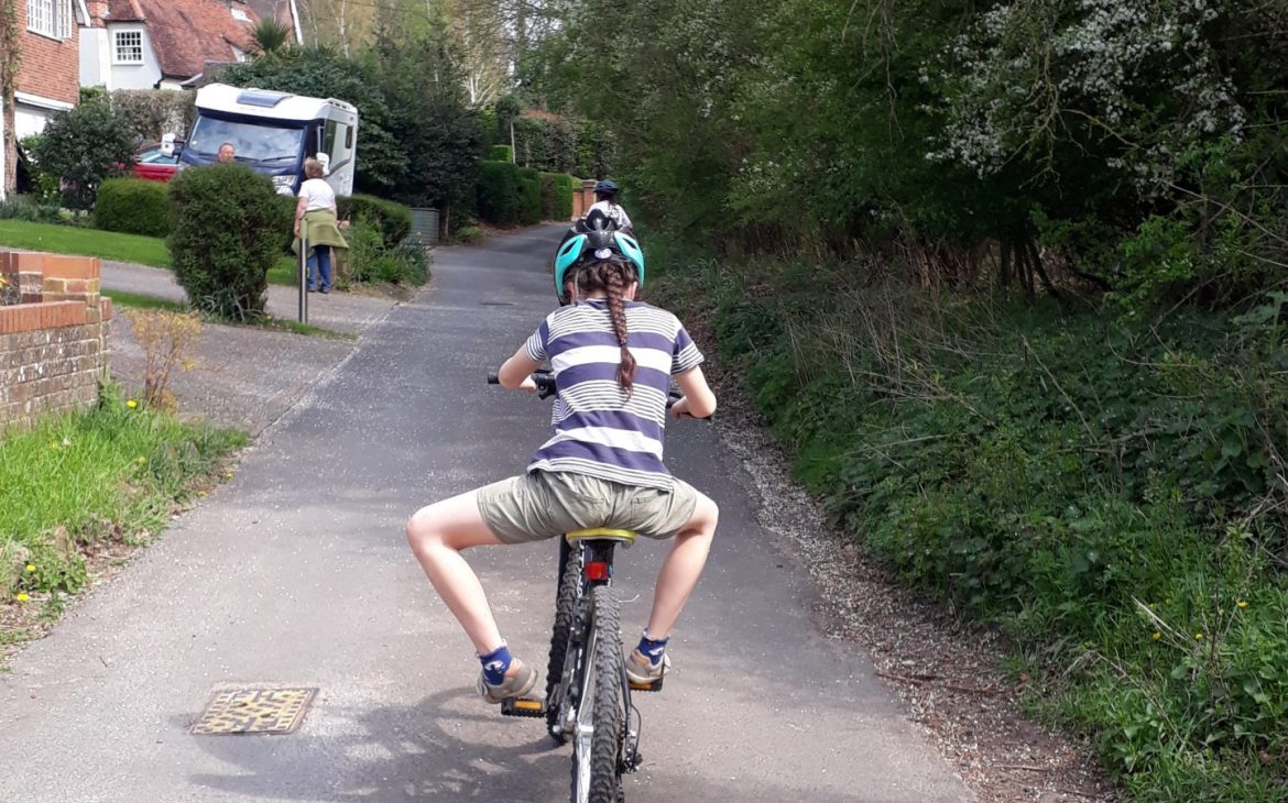 Animalympics