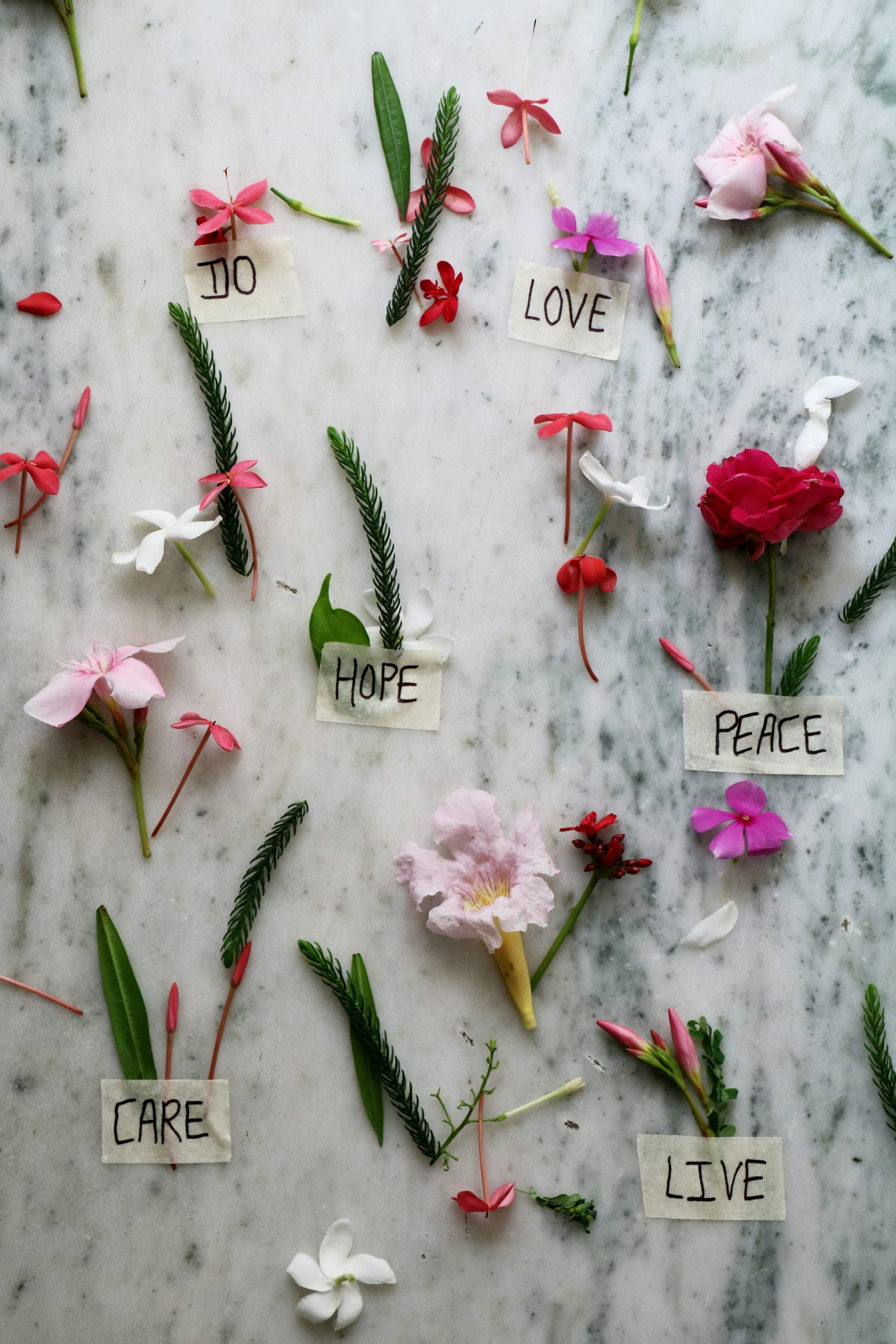 HOW TO SIMPLIFY YOUR LIFE