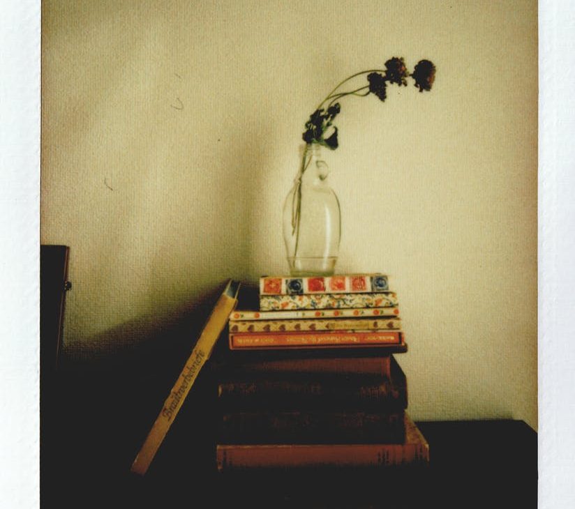 photo of dried flower on flower vase GROUNDING PRACTICES