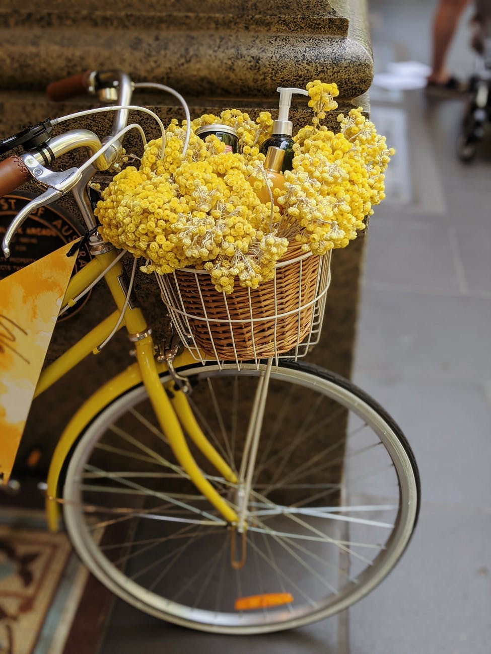 yellow flowers in brown woven basket on bicycle CYCLE AT UNIVERSITY