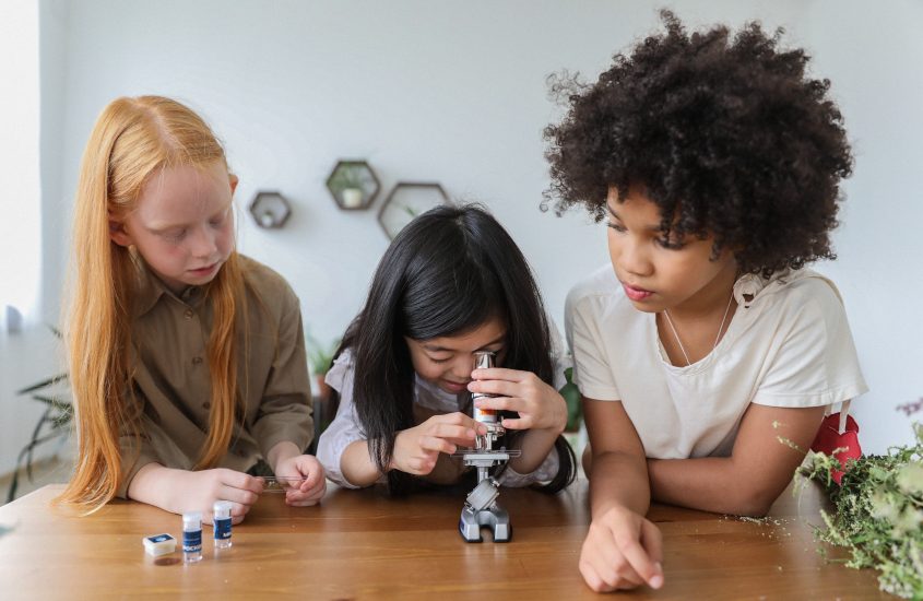 Have your own British Science Week Celebration