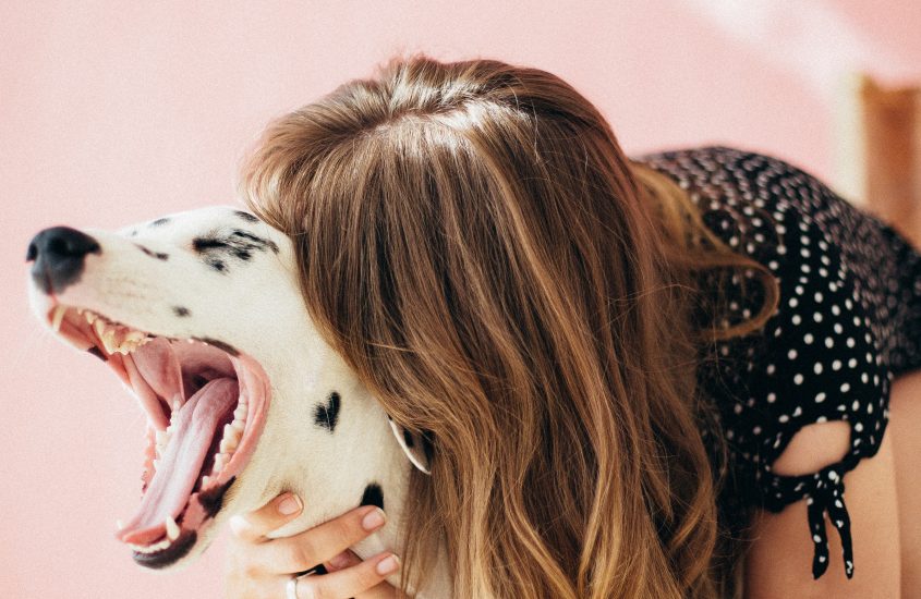 Managing Your Pet’s Separation Anxiety
