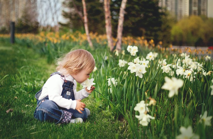 Benefits of Getting Your Children Into Gardening