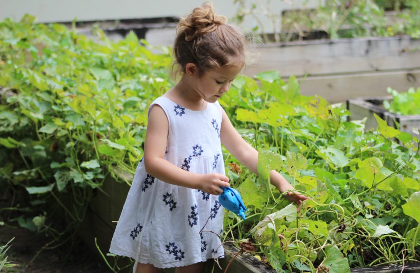 Green-Minded: Encouraging Children to Enjoy Gardening
