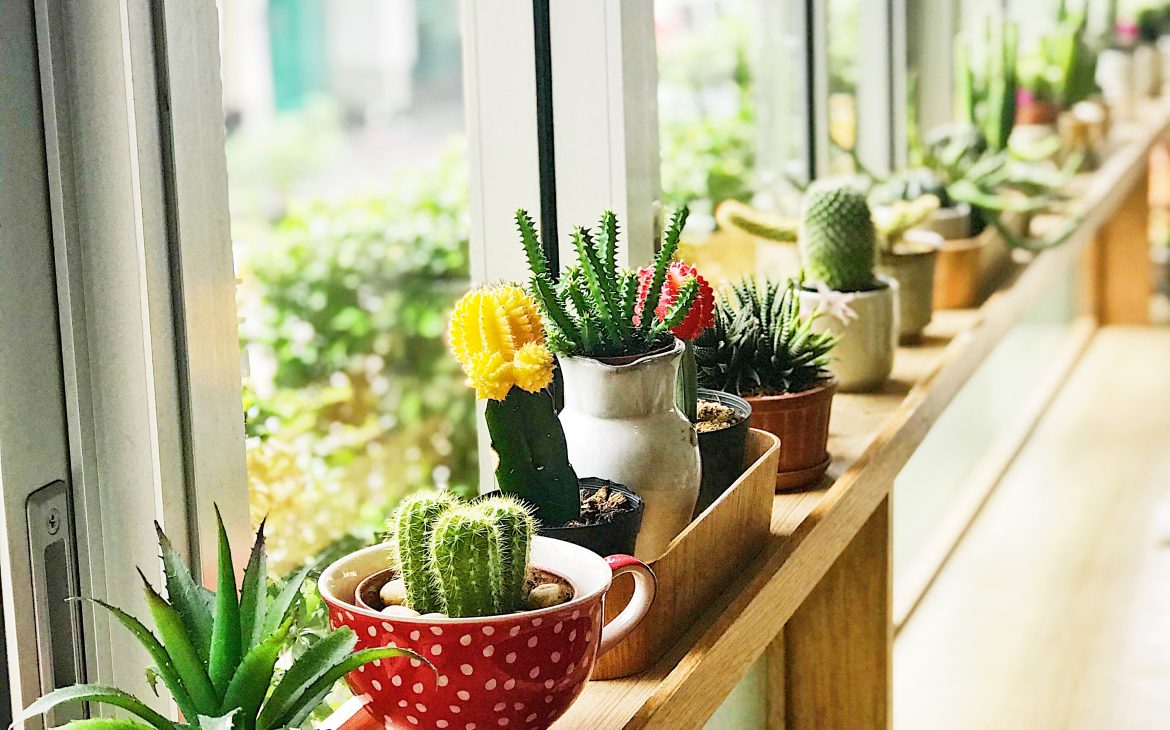Centrepiece ideas