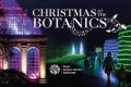 Immerse Yourself in Festive Magic: Christmas at the Botanics Edinburgh Review