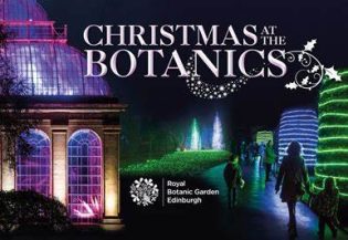 10756Immerse Yourself in Festive Magic: Christmas at the Botanics Edinburgh Review